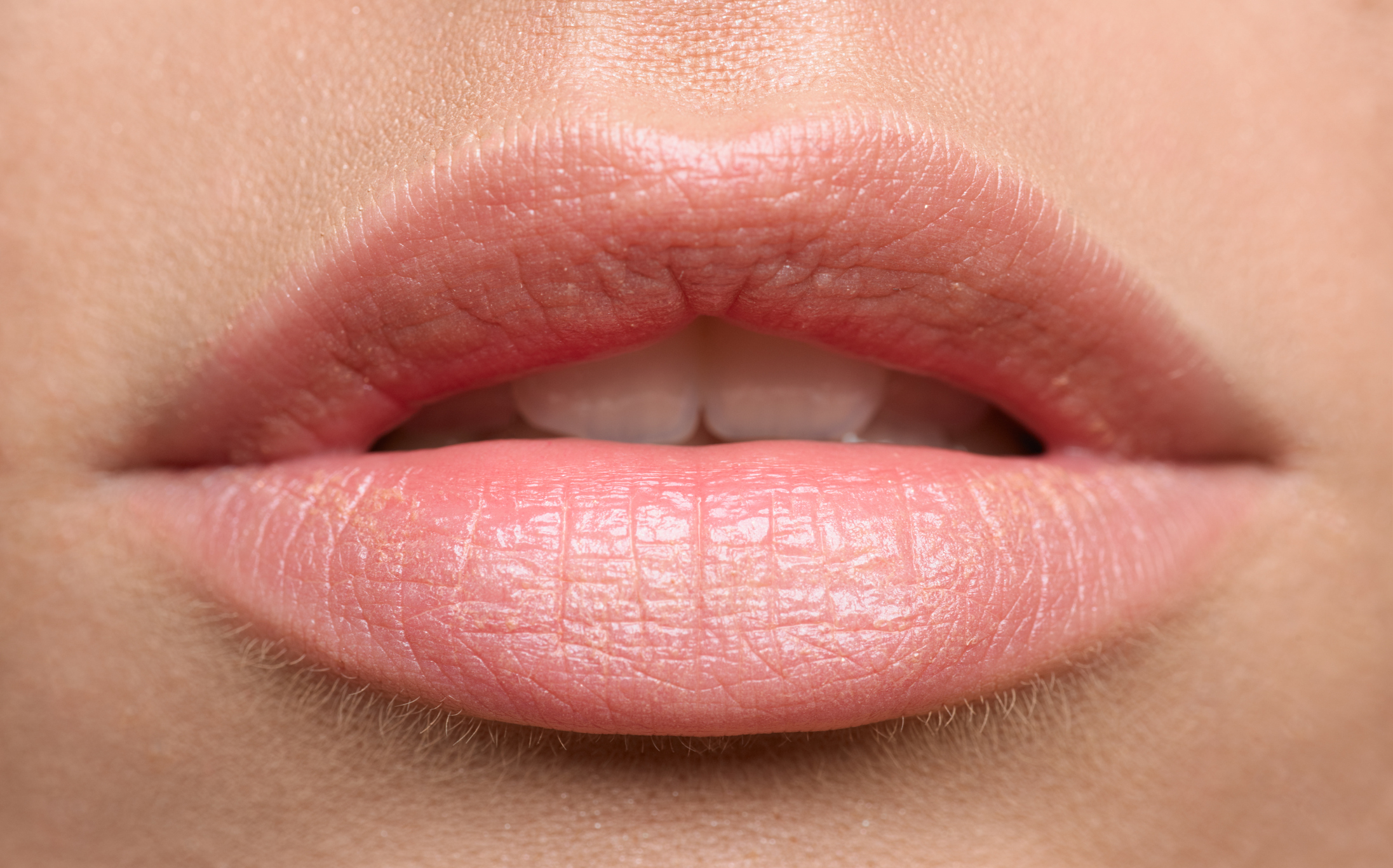 Lips That Speak Volumes: Your Lip Makeup Handbook